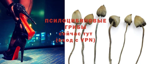 винт Бронницы