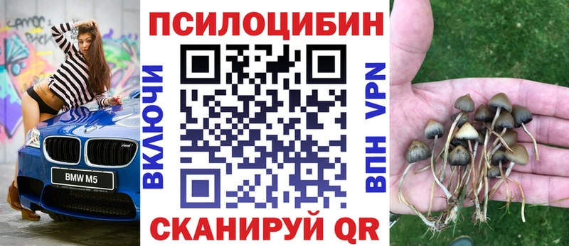 купить закладку  Геленджик  Галлюциногенные грибы Psilocybe 